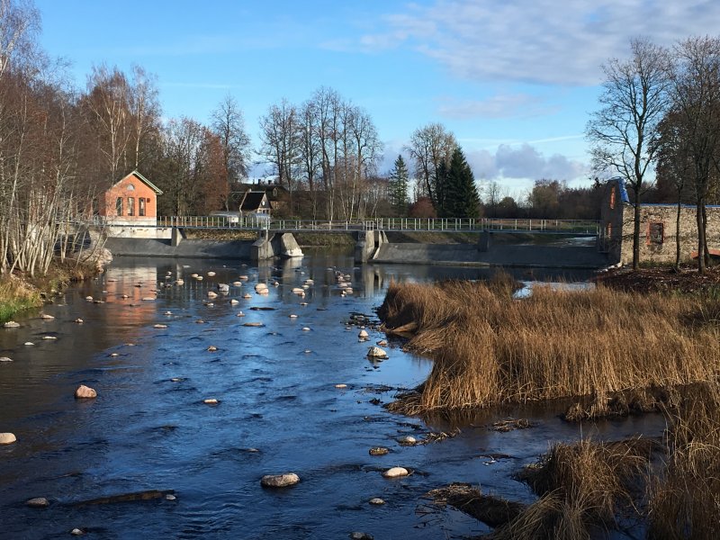 Jändja paisul Pärnu jõel on kalade läbipääs tagatud. Foto: Elina Leiner